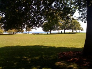 a large grassy area with trees and a body of water