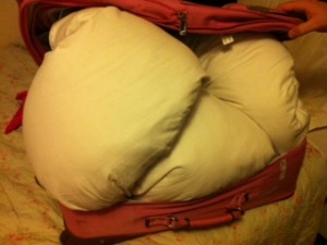 a bag with pillows inside