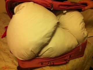 a bag with pillows inside