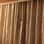 a swinger on a curtain
