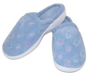 a pair of blue slippers