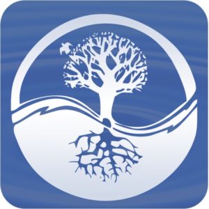 a logo of a tree